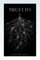 Micelio