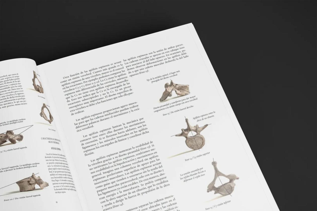 La columna cerebral - mockup