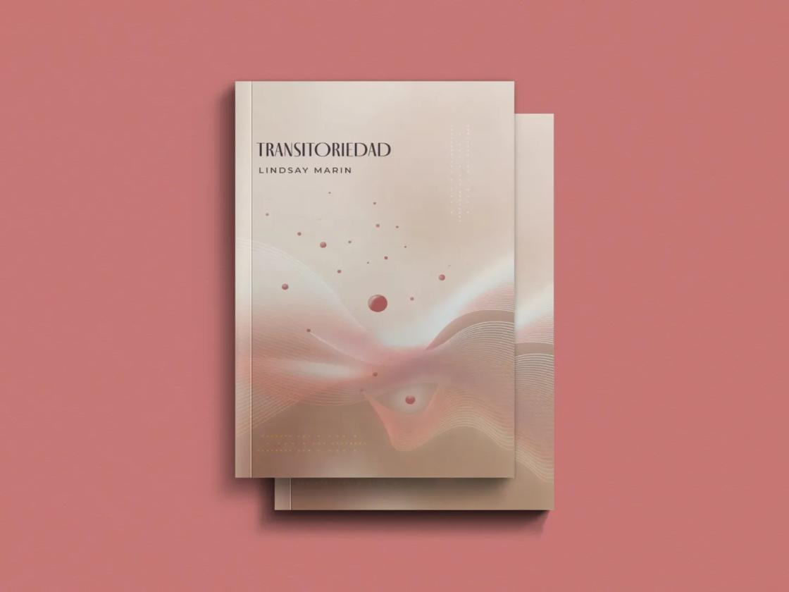 Transitoriedad - mockup