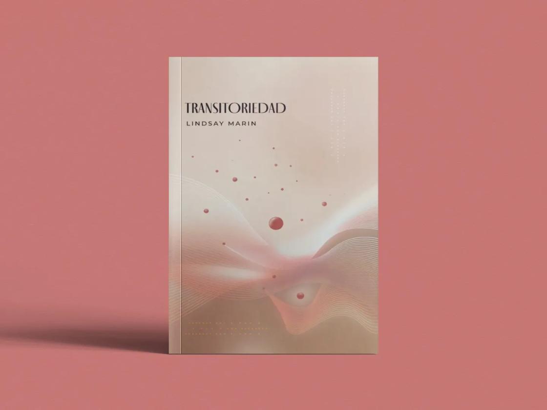 Transitoriedad - mockup