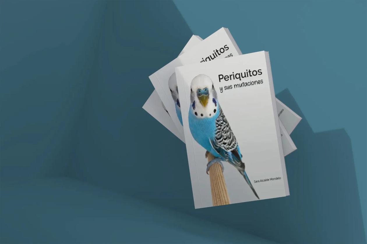 Periquitos y sus mutaciones - mockup