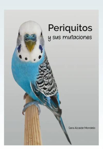 Periquitos y sus mutaciones