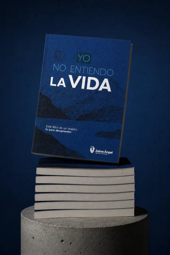 Yo No Entiendo La Vida 02.webp