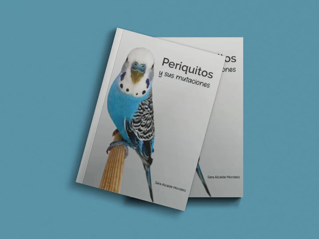Periquitos y sus mutaciones - mockup