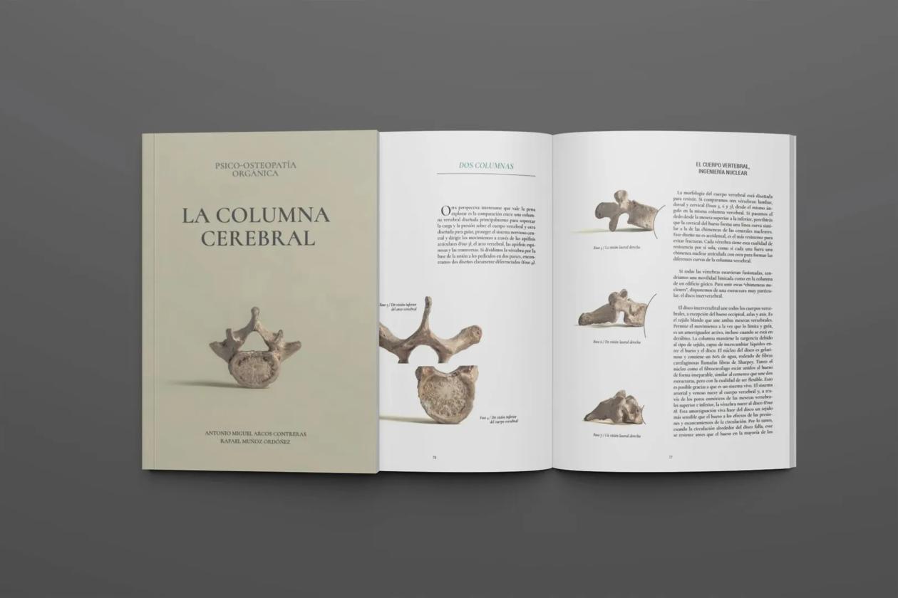 La columna cerebral - mockup