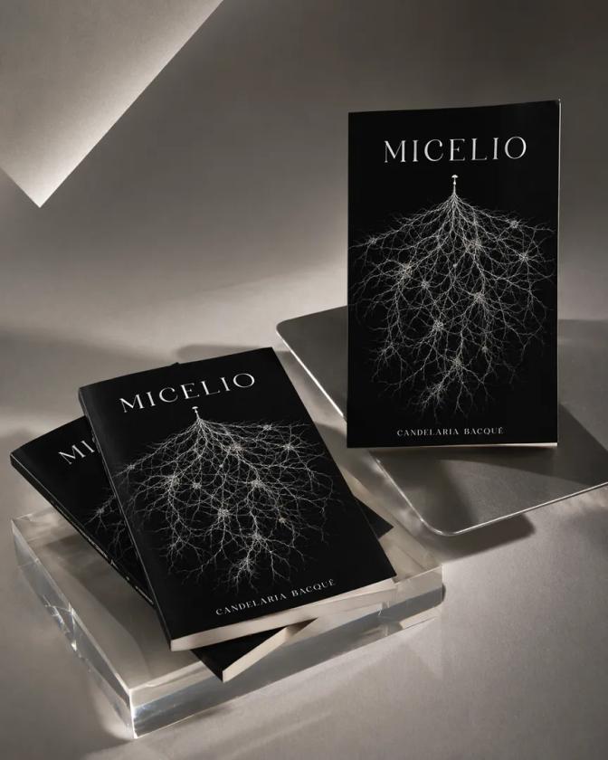 Micelio 03.webp