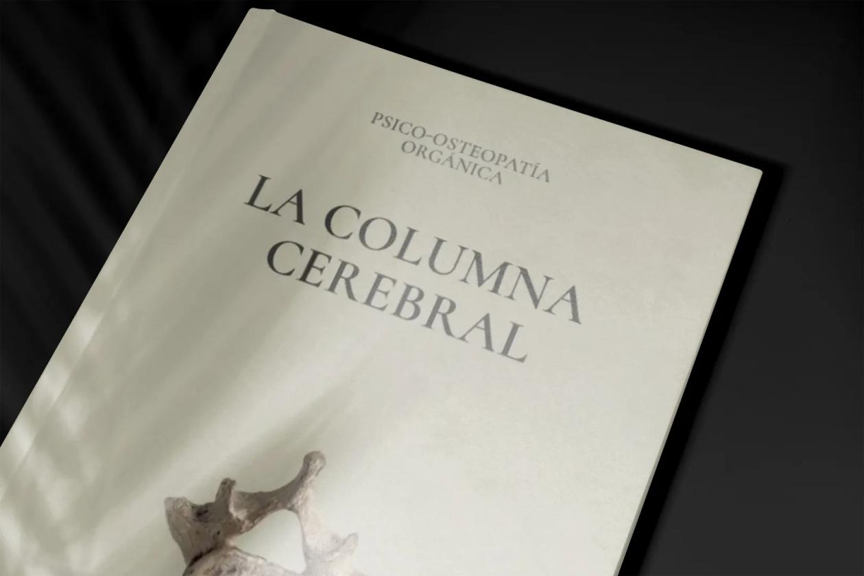 La columna cerebral - mockup