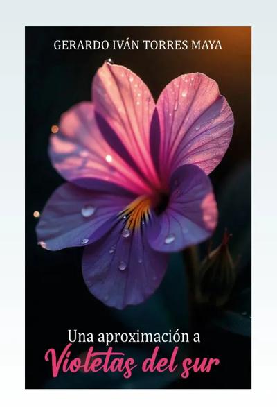 Una aproximación a violetas del sur