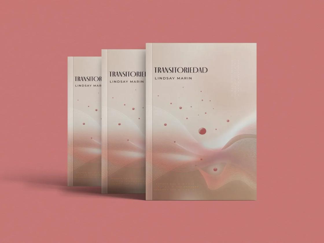 Transitoriedad - mockup