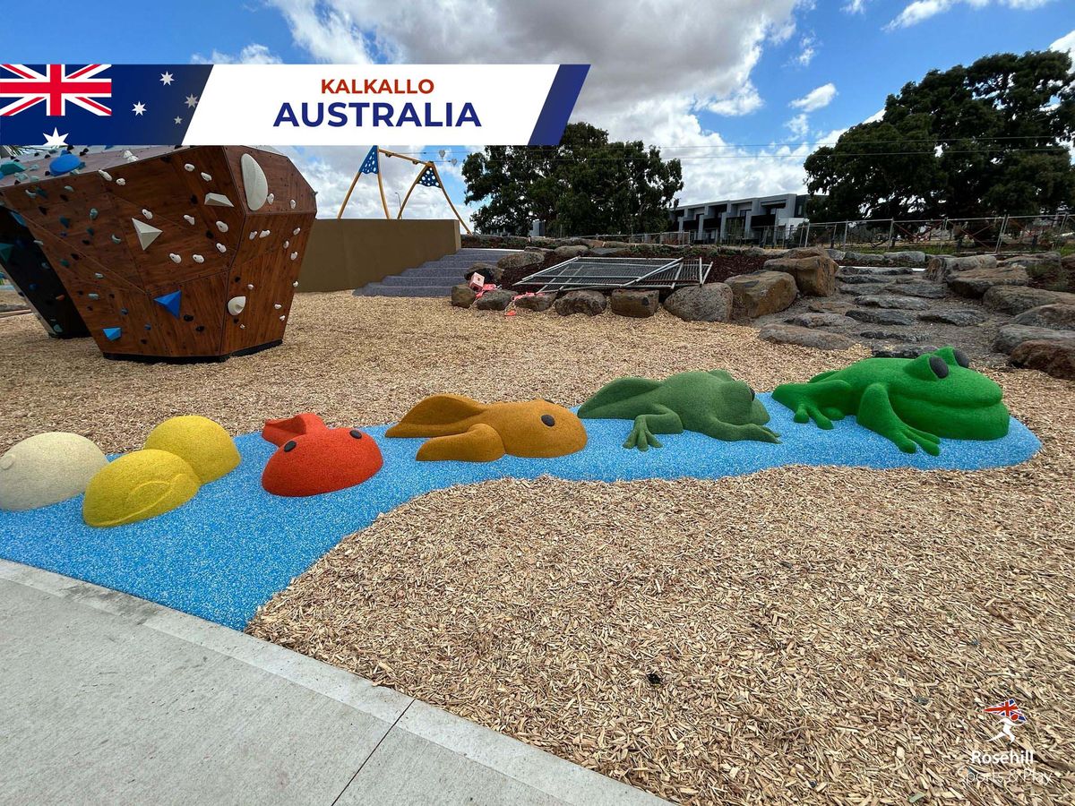 Playful Frog Motifs for a Nature-Inspired Playground in Kalkallo - Image 5
