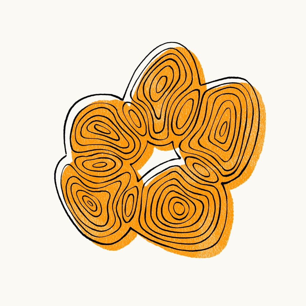 Scaling Agentic Clinical Trial Emulation Using Real-World EHR Data at Mount Sinai