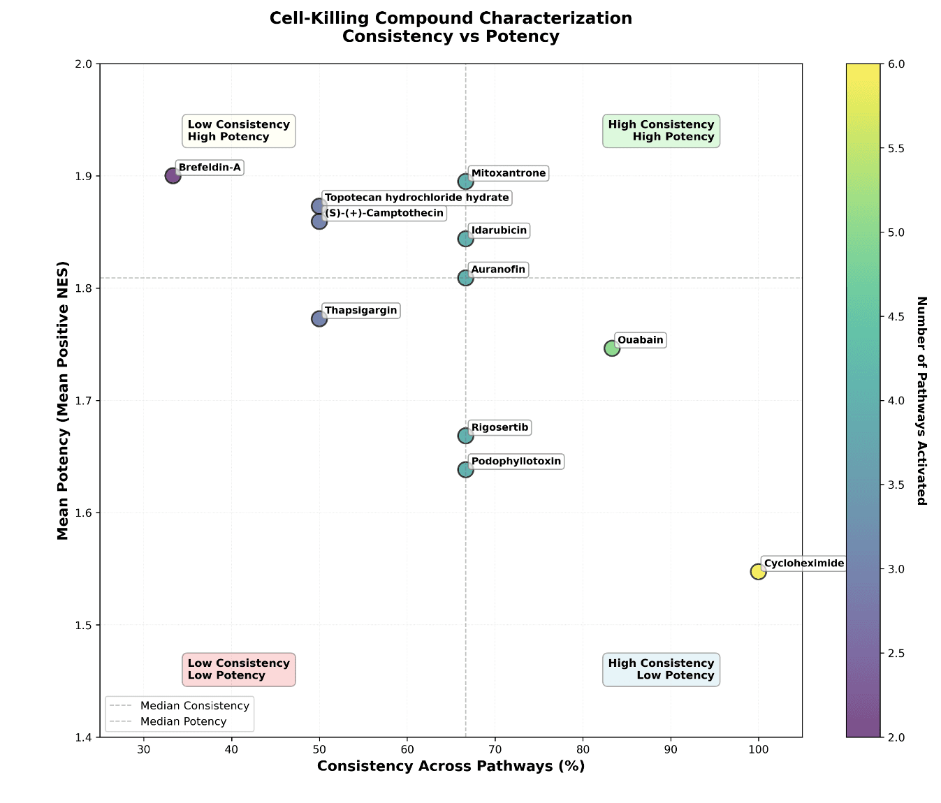 Cell-killing pathway analysis