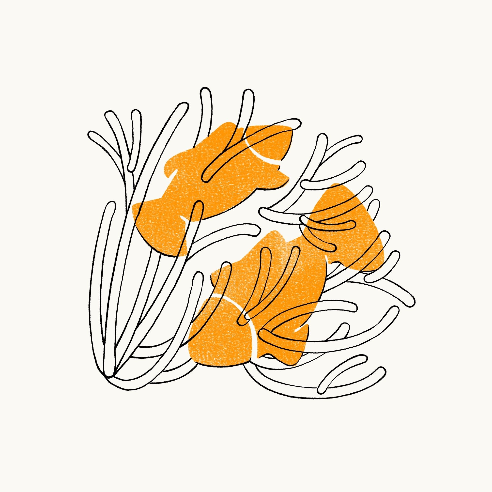 Introducing the Phylo Academic Lab Program