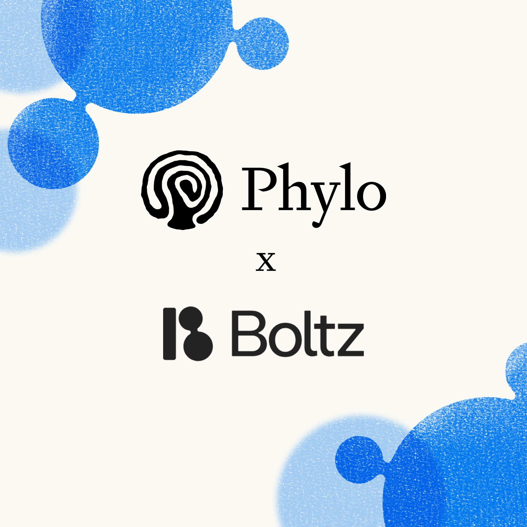 Phylo × Boltz: design and screen with Boltz, end-to-end from a prompt