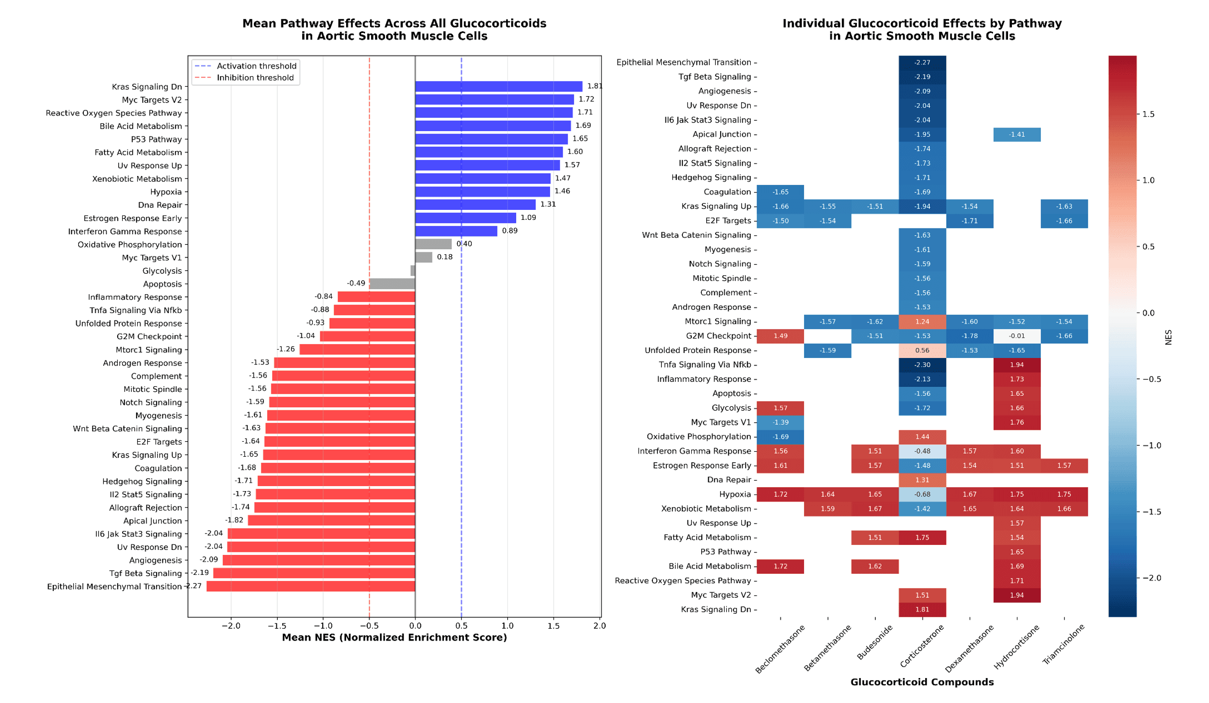 Figure 4. MSigDB Pathway Enrichment for glucocorticoid targeting drugs