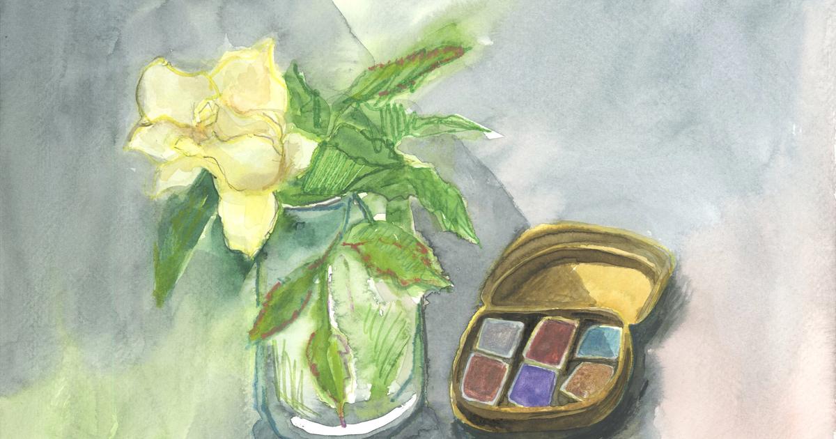 Primera rosa del año - Carmen Marcos