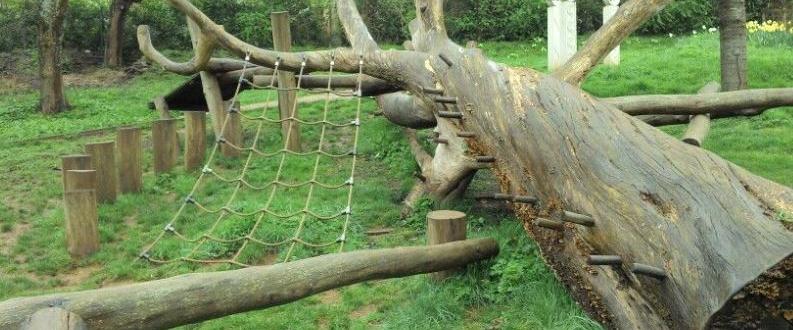 Play Trees - Natural Play
