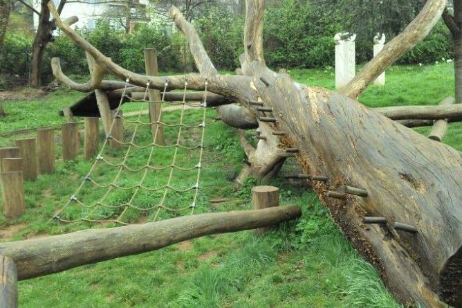 Play Trees