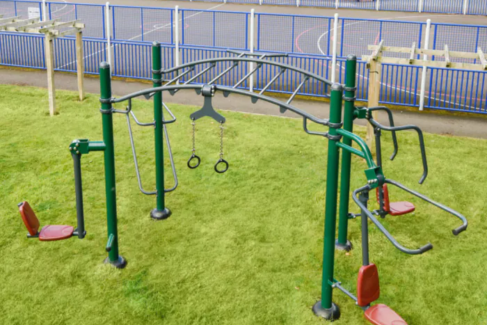 Mini Outdoor Fitness Rig