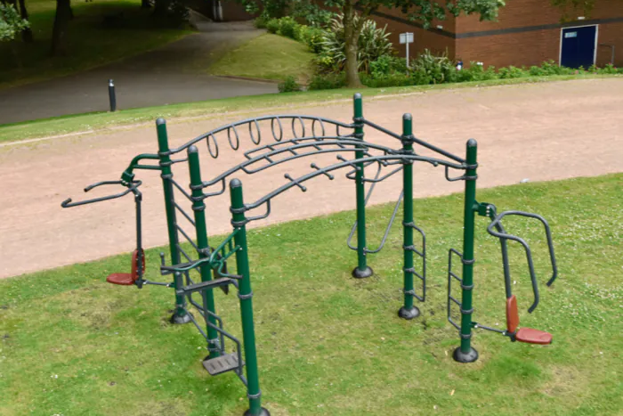Sthenos Outdoor Fitness Rig