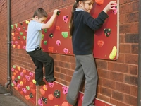 Traverse Climbing Panels Thumbnail 2