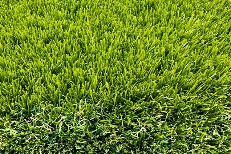 50 mm artificial Grass