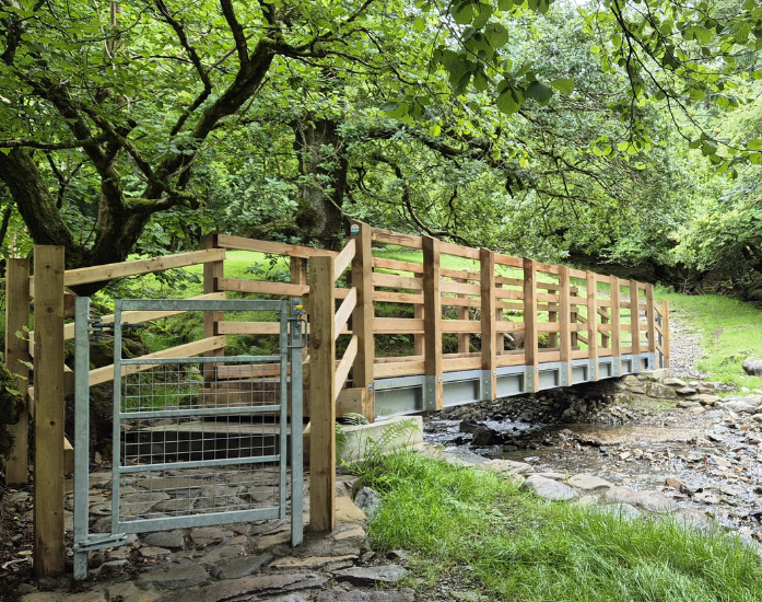 Timber Bridge 