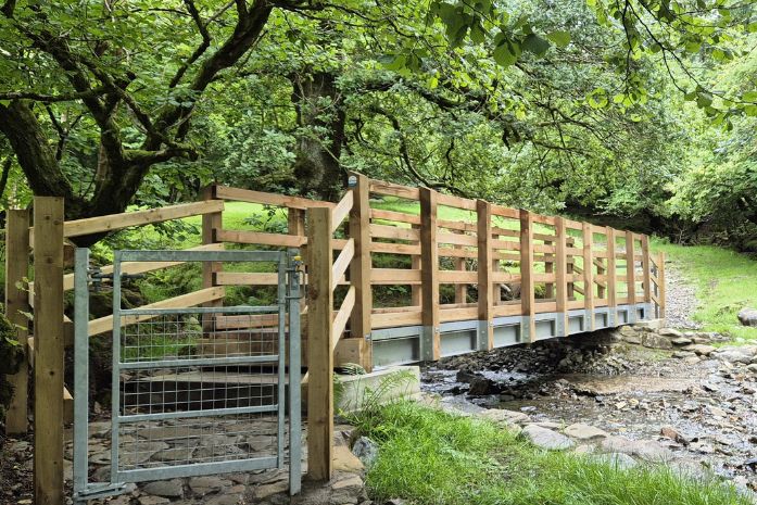 Timber Bridge