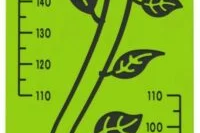 How Tall are You – Beanstalk Play Panel
