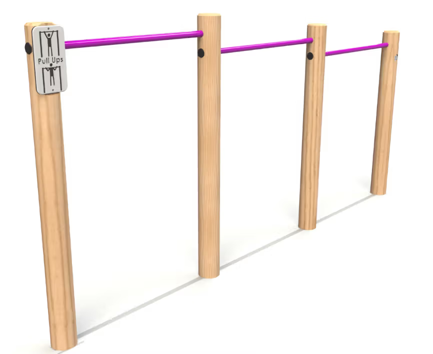 Chin Up Bars