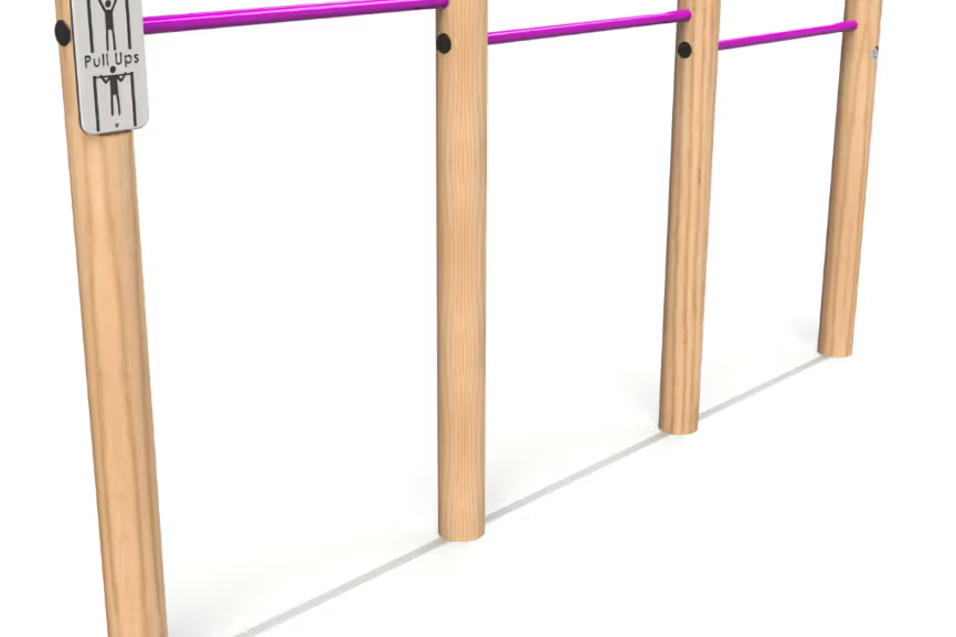 Chin Up Bars