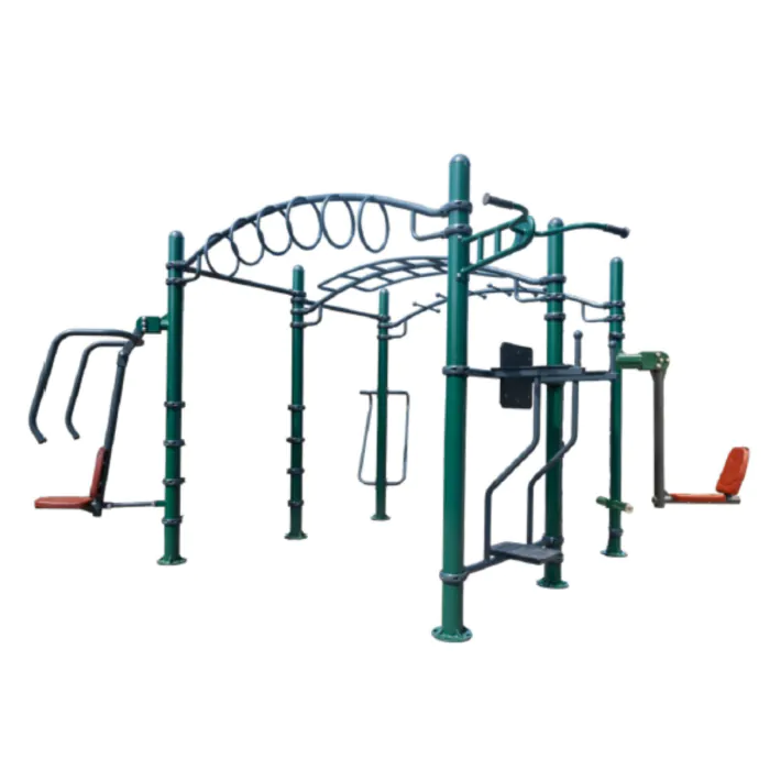 Sthenos Lite Fitness Rig