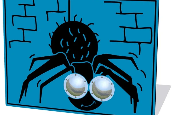 Bug Eyes Spider Play Panel