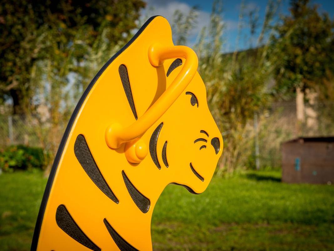 Tiger Springer Thumbnail 4