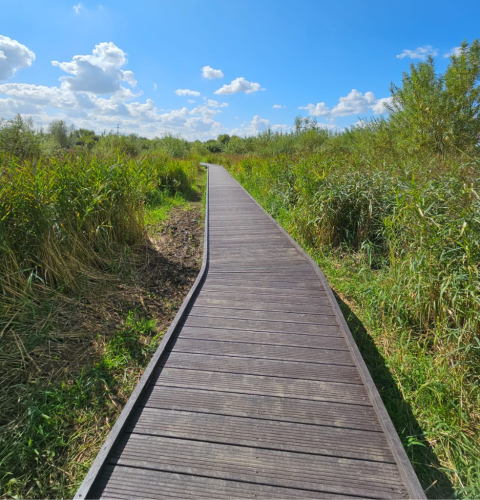 Bespoke Boardwalks
