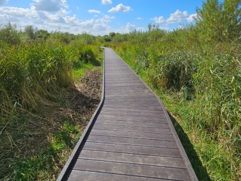 Bespoke Boardwalks Thumbnail 1