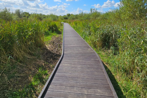 Bespoke Boardwalks