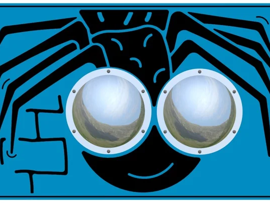 Zoom Bug Eyes Spider Play Panel Thumbnail 2