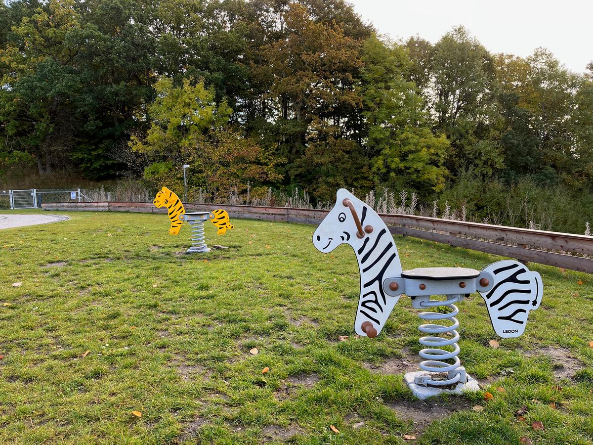 Zebra Springer Thumbnail 2
