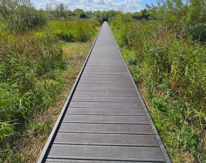 Bespoke Boardwalks Thumbnail 5