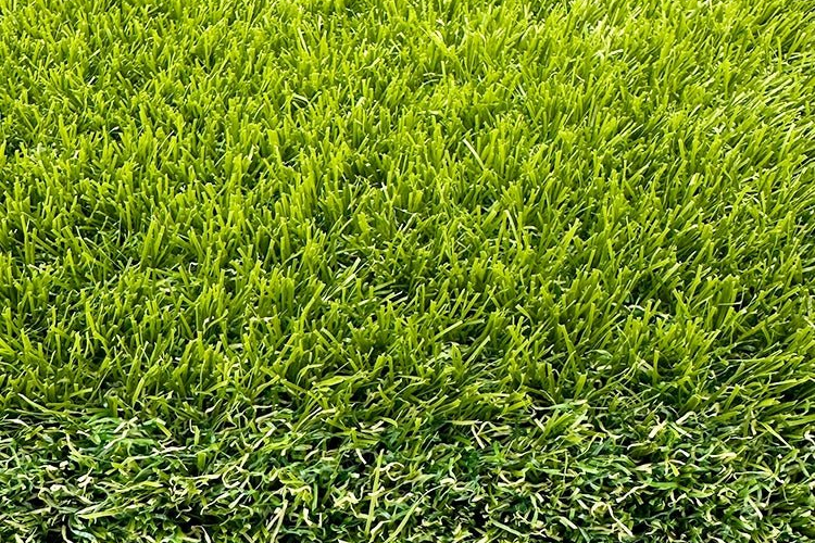 Sports Artificial Grass