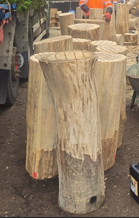 Log stepping stones  Thumbnail 3