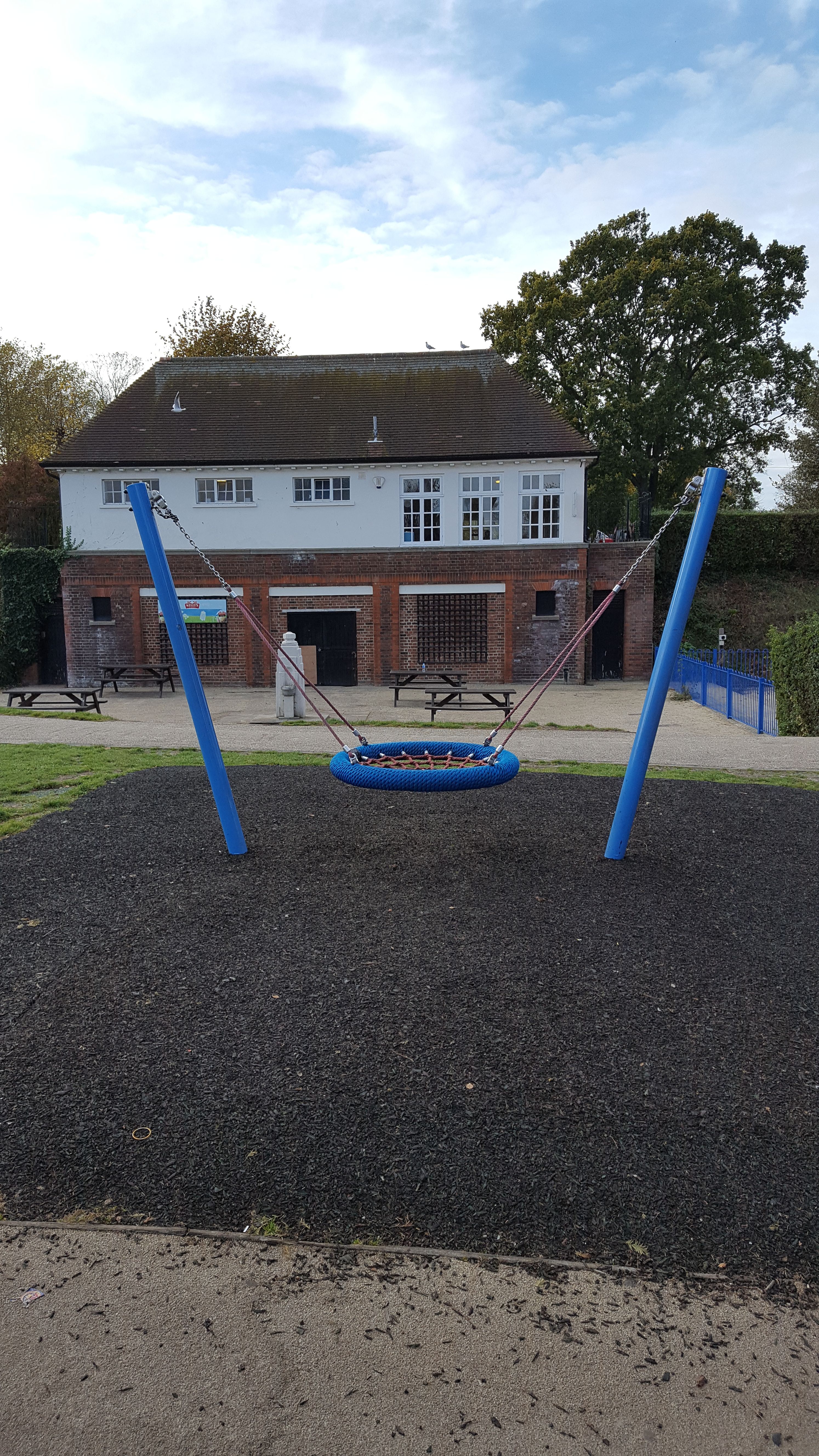 Mini Nest Swing