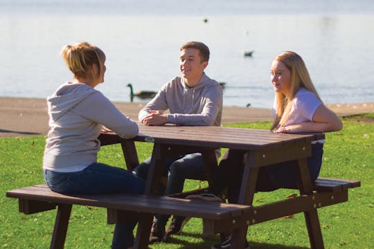 Standard Recycled Picnic bench