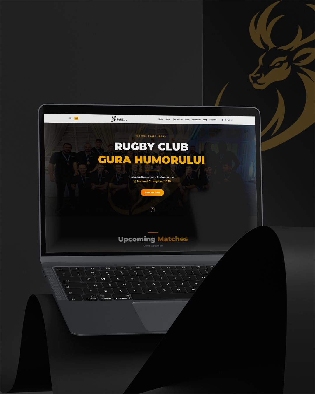 Web Design & Digital Experience