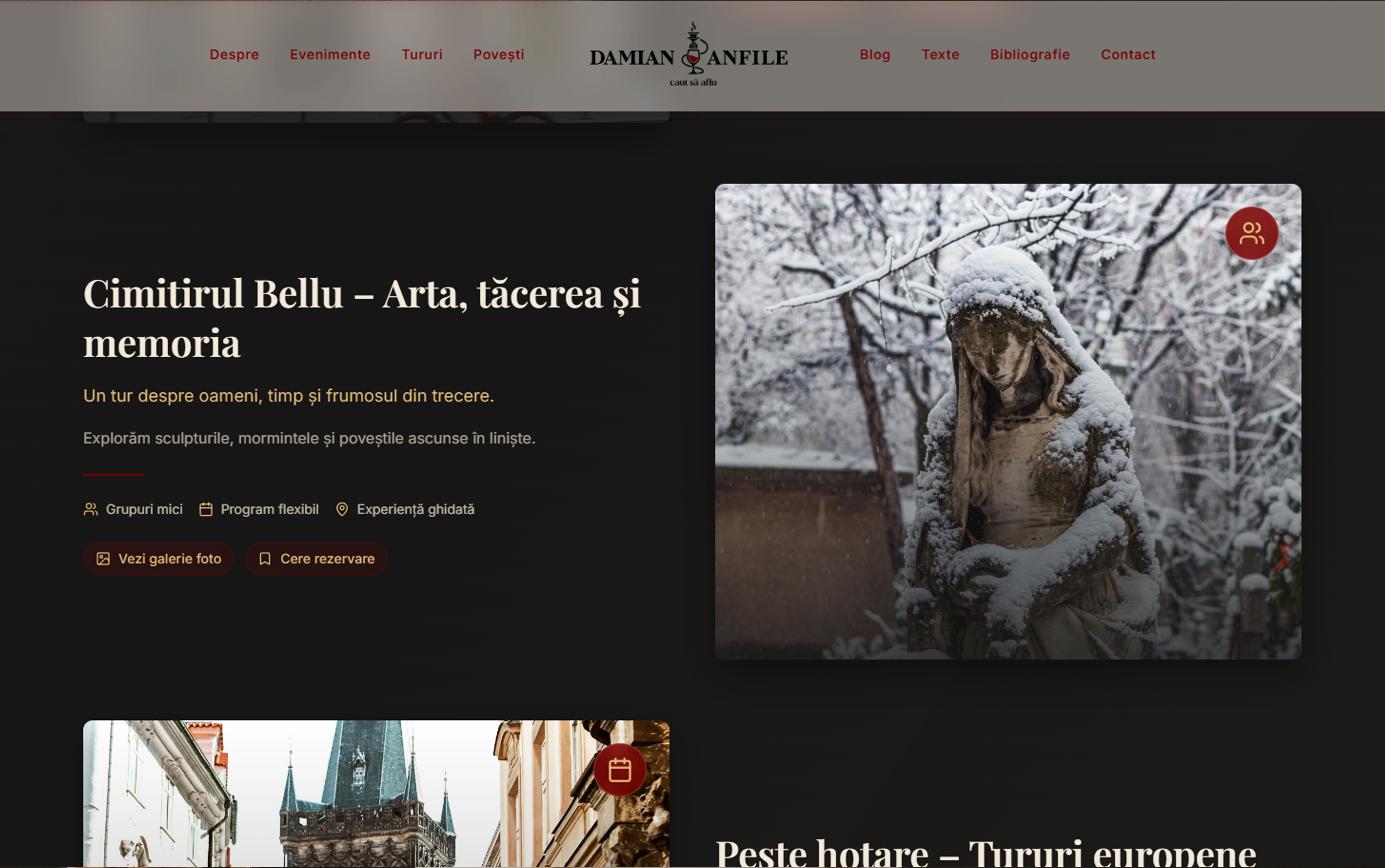 www.damiananfile.ro - Branding · Identitate vizuală | EpicneZZ Design