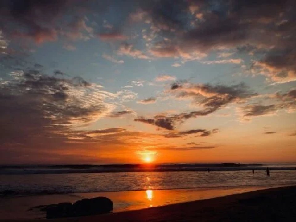 How to become a professional beach bum