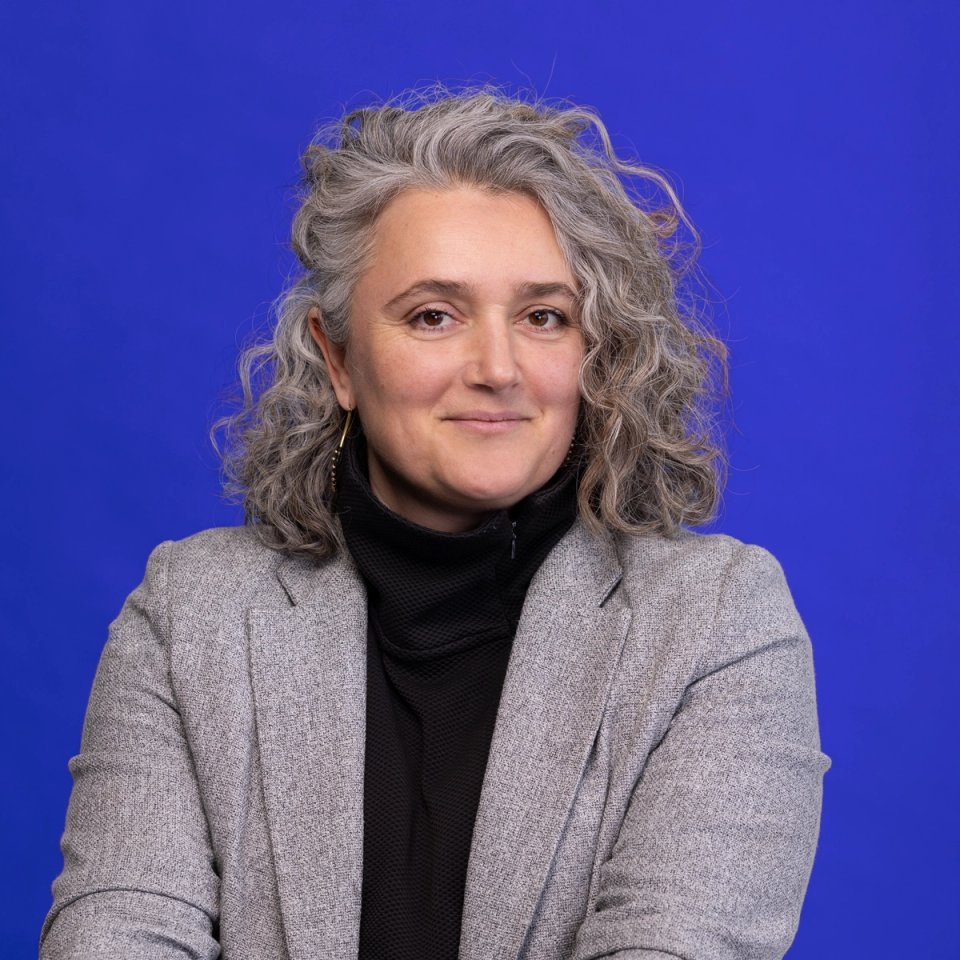 Sanmohini Pellerin