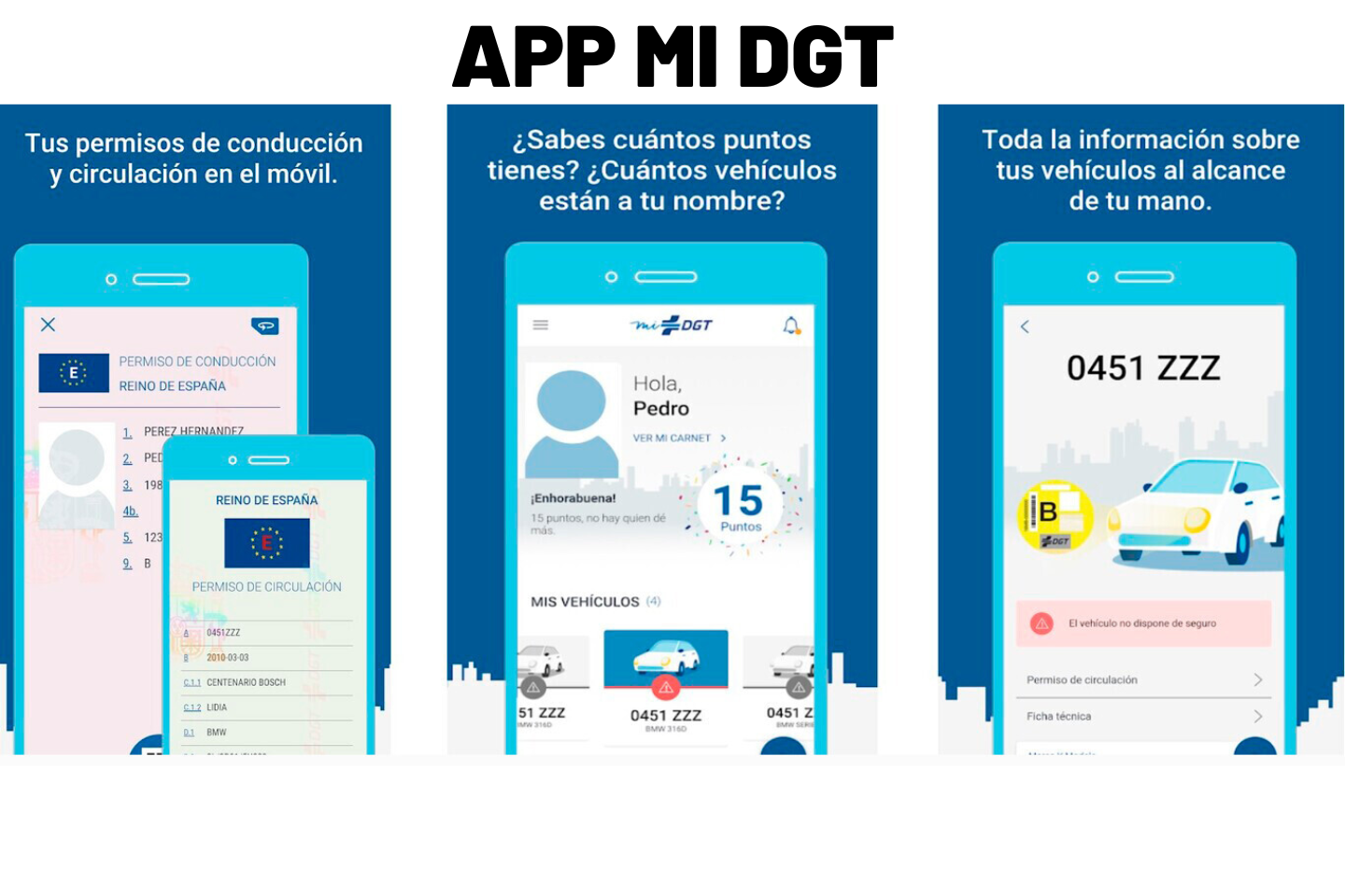 Como pagar una multa de la DGT Como pagar una multa de la DGT