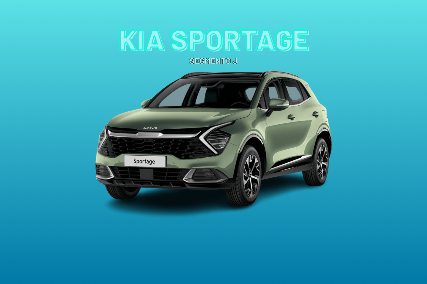 Diferencias entre los segmentos de coches Diferencias entre los segmentos de coches